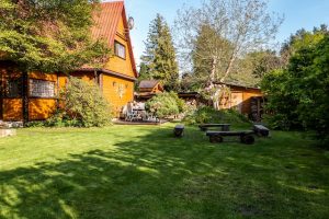 pelouse synthétique dans le jardin